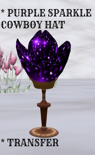 COWBOY HAT PURPLE SPARKLE