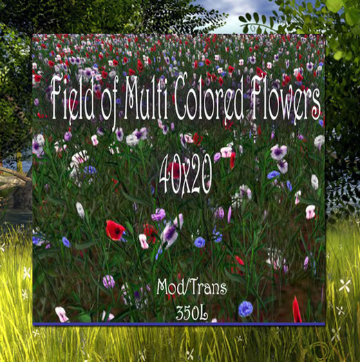 -SE- Ground Cover 40x20 Multi- Colored