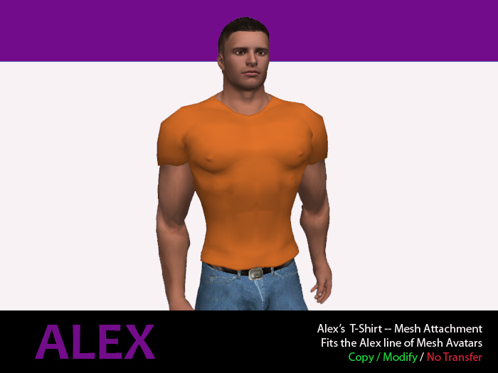 Alex's T-Shirt -- Mesh Atttachment