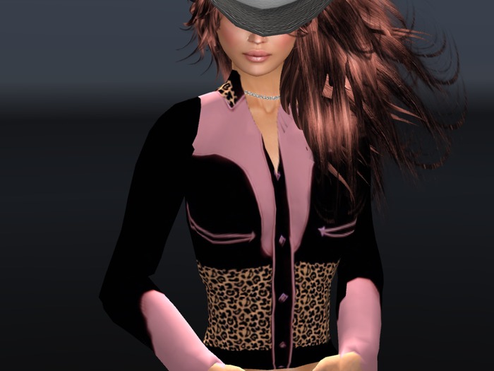 SASS Western Shirt Pink Leopard