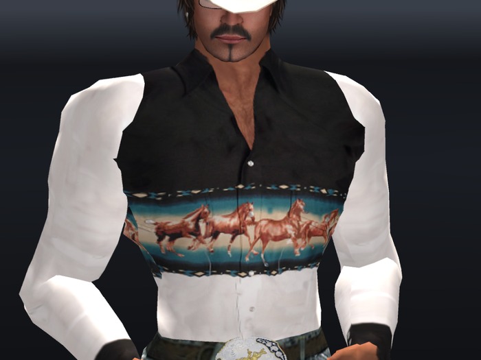 SASS Navajo Horses Rodeo Shirt