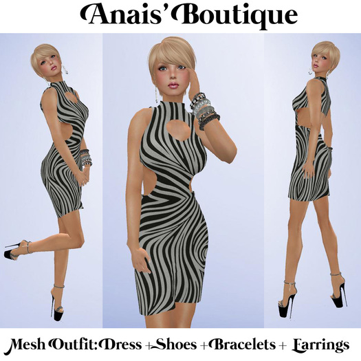 Anais' Mesh Vixen Dress 2