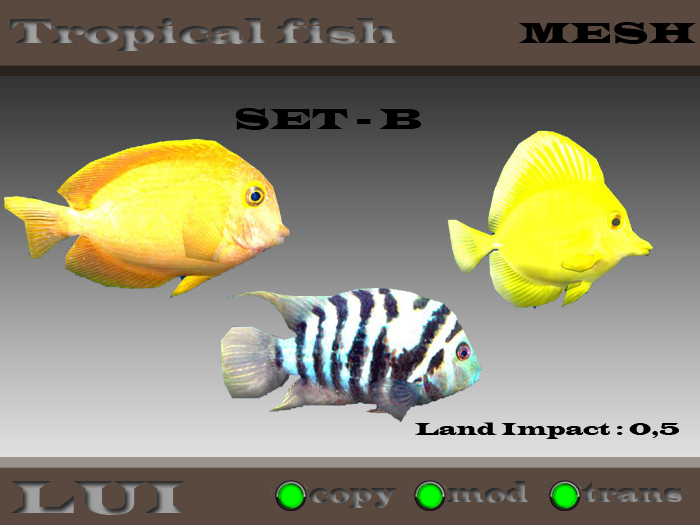 <LUI>Tropical fish Set-B [Mesh] FP