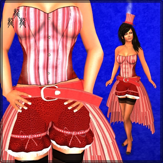 Steam "6"-Corset-Dragons'