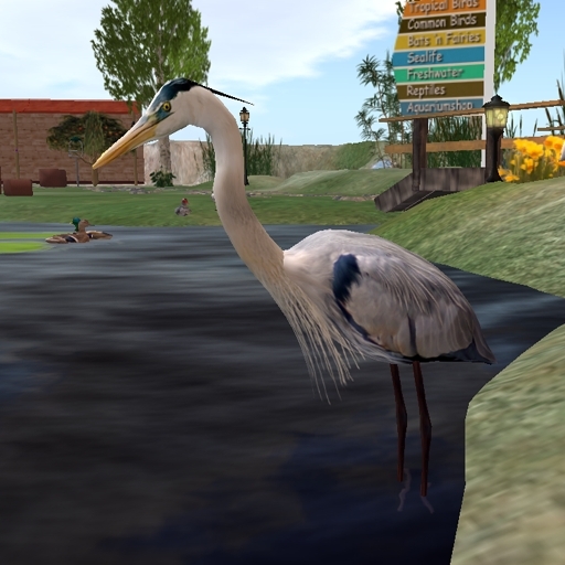 Animania Great Blue Heron (Light)