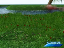 {Azureus} Half Prim Grass