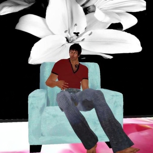 easterwood blue chair