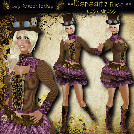 Meredith Rose Mesh Steampunk outfit **OUTLET ITEM**