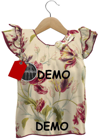 J.H.C. *Minka* MESH Ruffle Sleeve Top (DEMO)