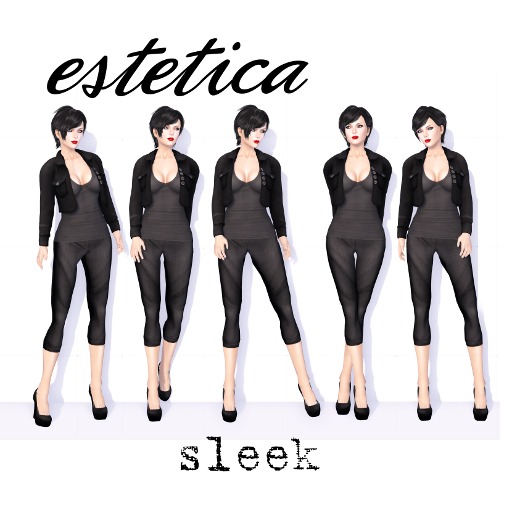 estetica: sleek (mini pack)