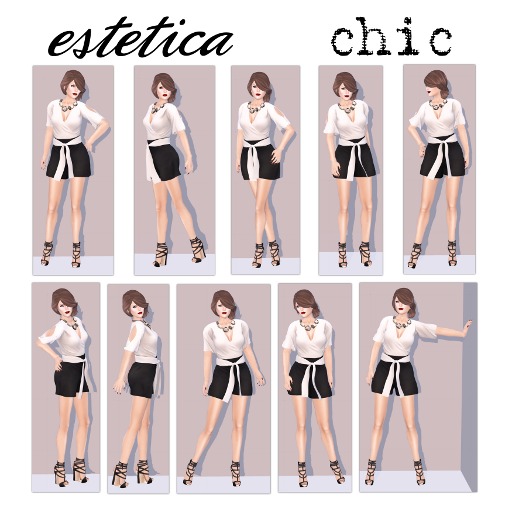 estetica: chic (10 pose pack)