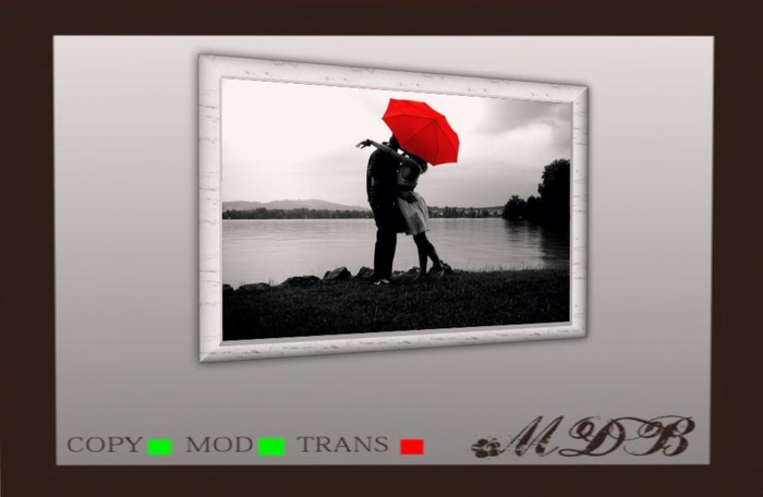 MDB BOX Shabby Frame w/photo changer