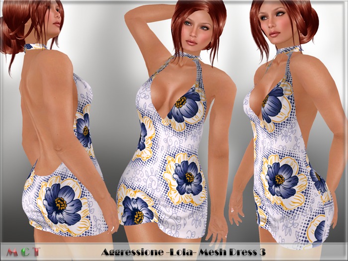 *Aggressione* -Lola- Mesh Dress 3
