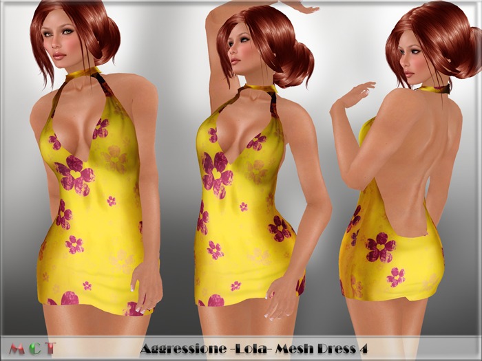 *Aggressione* -Lola- Mesh Dress 4