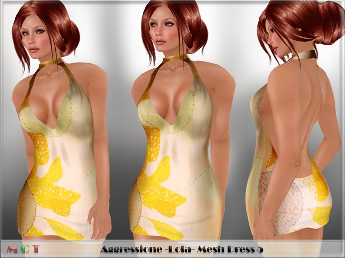 *Aggressione* -Lola- Mesh Dress 5