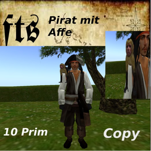 Pirat mit Affe