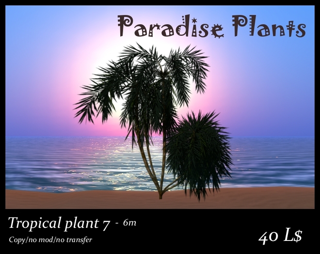 Tropical plant 7 - 6m