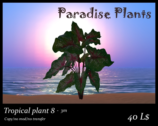 Tropical plant 8 - 3m