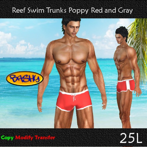 ::BASHY:: Reef Swim Boxers  Poppy Red and Gray (WEAR TO UNPACK)