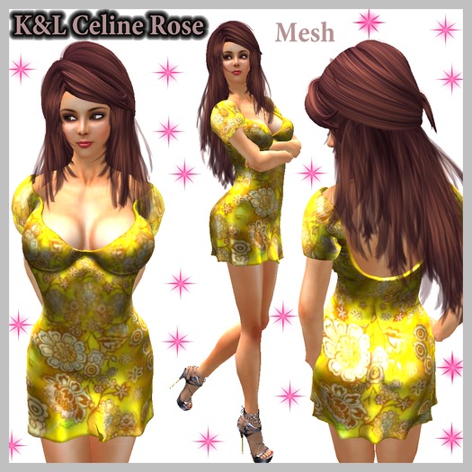 K&L Celine gold Rose Dress Mesh