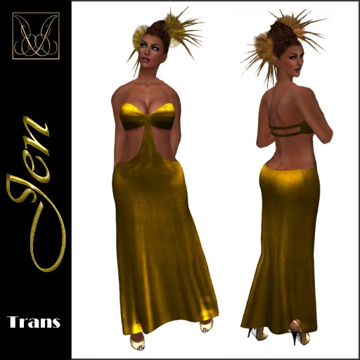 JCD Jen Black Mesh Gown bagged