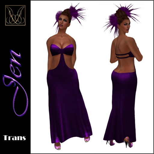JCD Jen Purple Mesh Gown