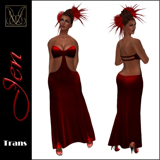 JCD Jen Red Mesh Gown