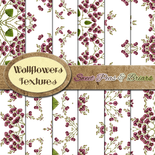 *Wallflowers* Sweet Peas & Briars