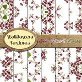 *Wallflowers* Sweet Peas & Briars