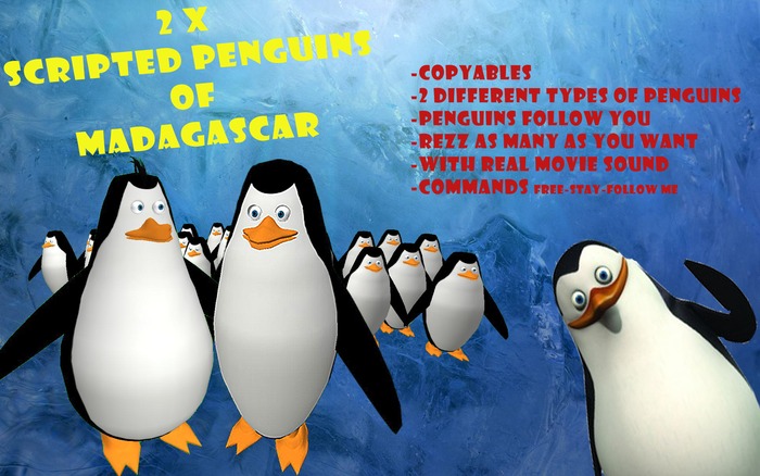 2 SCRIPTED MADAGASCAR PENGUINS FOLLOW ME!
