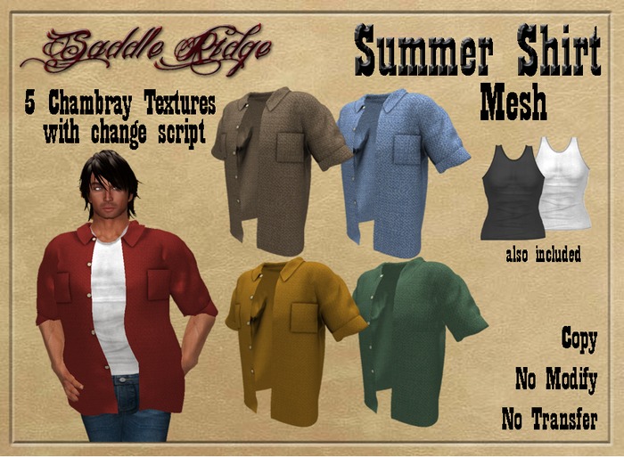 Summer Shirt Chambray