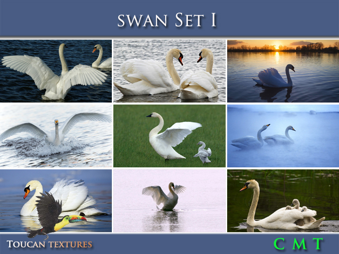 [Toucan Textures] Swan Set I