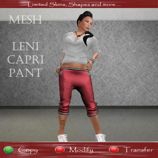 .::[> C.H.D <]::. [MESH] Leni Capri Pants Red