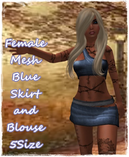 Female Mesh Outfit Blue Skirt and Blouse