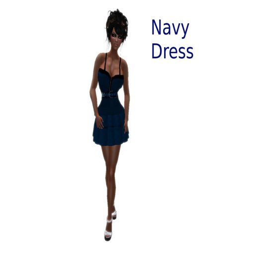 Sonz Navy Dress