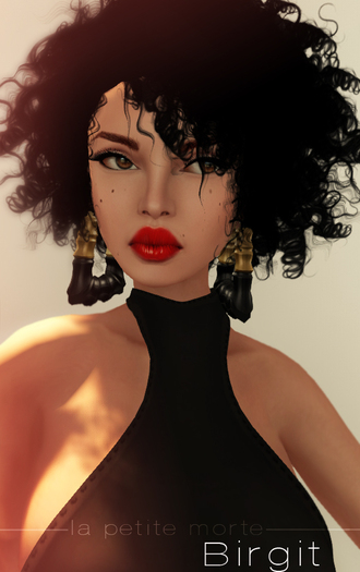 .la petite morte. birgit t1 m5