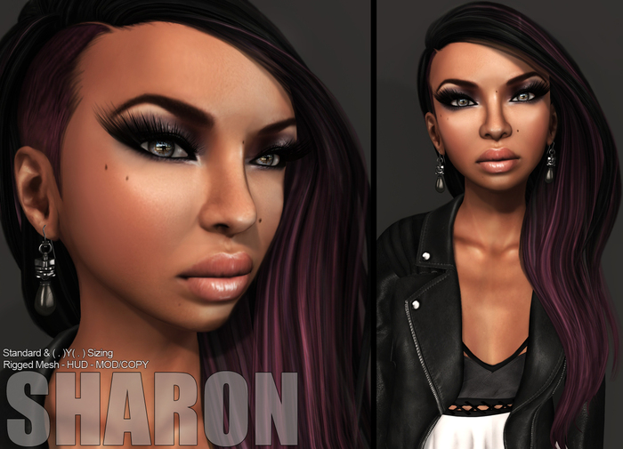 *****Hair Listing Template [RIGGED MESH][MESH]