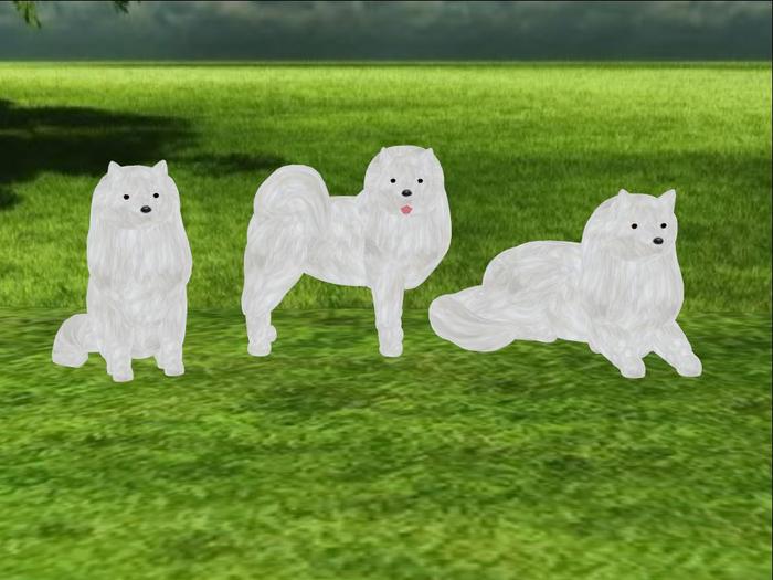 American Eskimo Scripted and Animated Dog