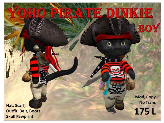 YoHo Pirate Dinkie Boy
