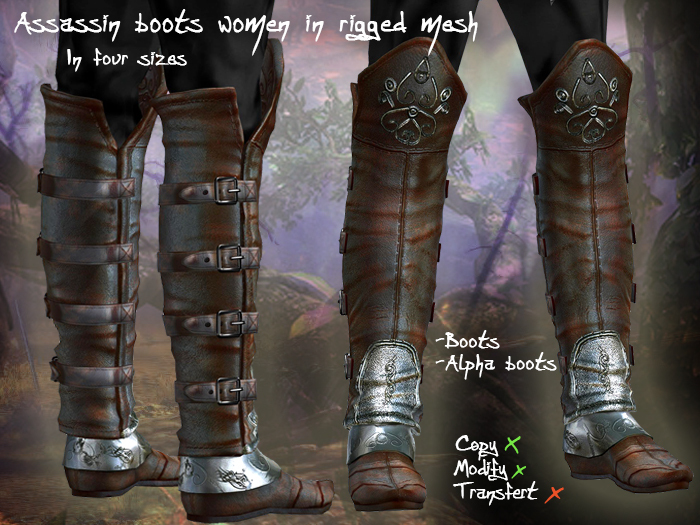 Assassin boots women