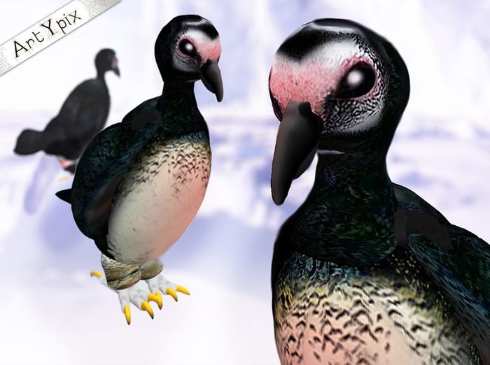 *artYpix* pinguin egg box
