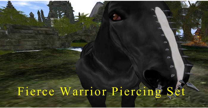 Fierce Warrior Full Piercing Set Shire Box