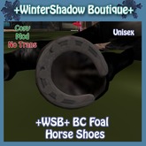 +WSB+ BC Foal Horse Shoe (BOXED)