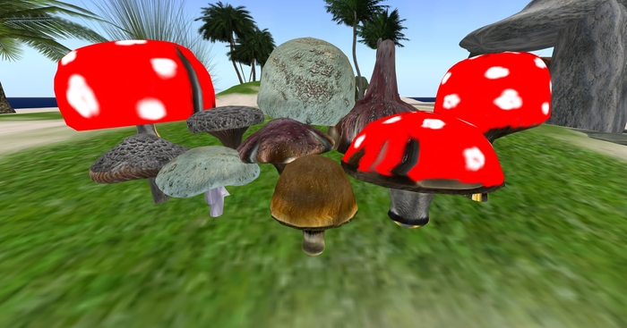 MUSHROOMS SET 2
