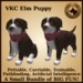 Vkc elm puppy marketplace advert 01