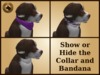 Vkc elm puppy marketplace advert 04