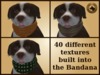 Vkc elm puppy marketplace advert 05