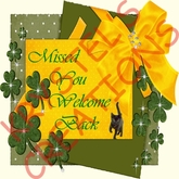 WB5 Missed You Welcome Back (Rezz Me)