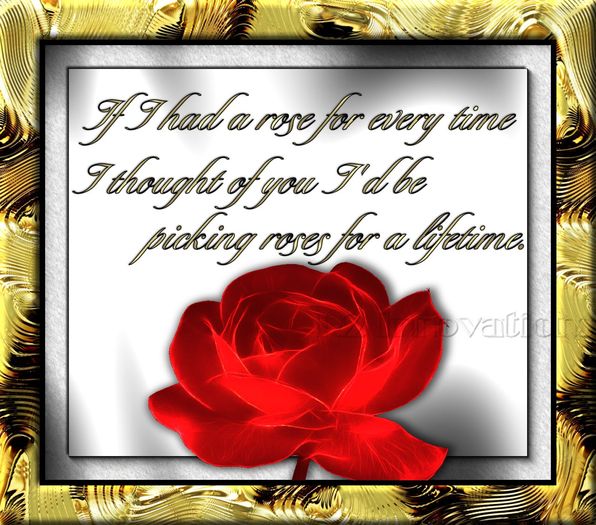Picking Roses For A Lifetime