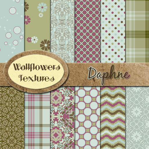 *Wallflowers* Daphne